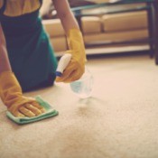 A person trying to clean stains off of carpet.