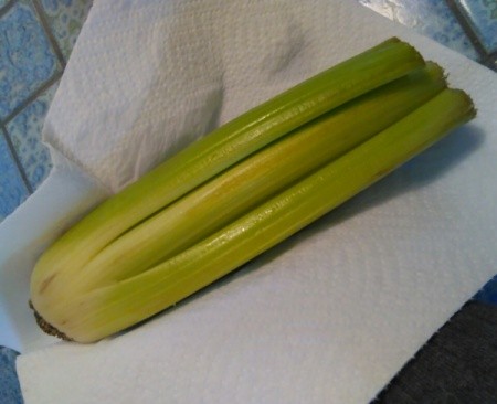 Celery Rose Shaped Stencil Stamp