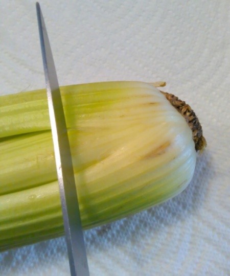 Celery Rose Shaped Stencil Stamp