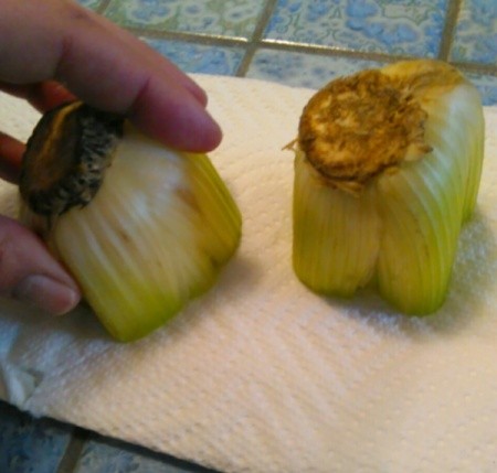 Celery Rose Shaped Stencil Stamp