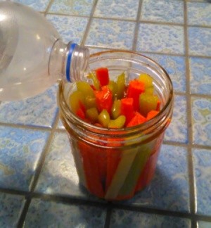 A canning jar with cut up carrots and celery.