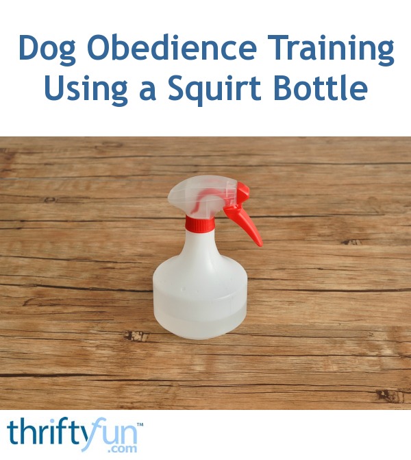 Dog Obedience Training Using a Squirt Bottle ThriftyFun