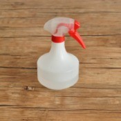 A spray bottle used to train a dog.
