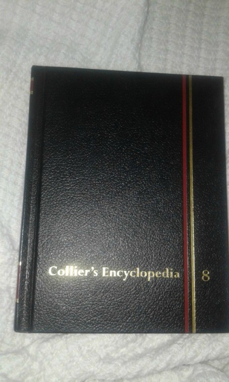 volume 8