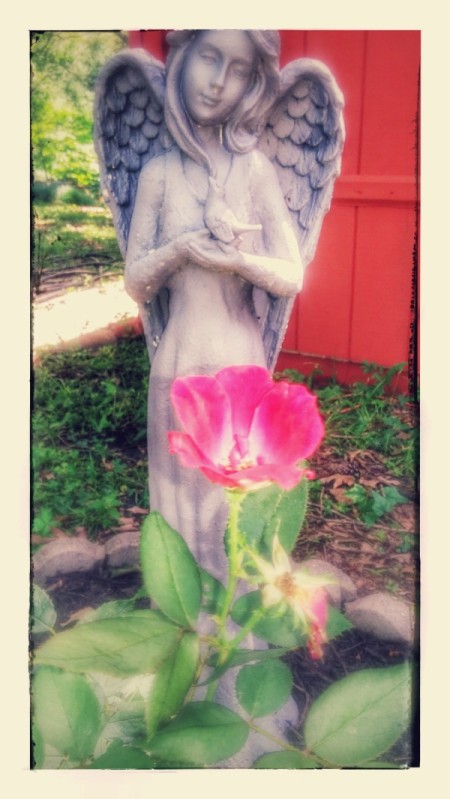 angel figurine behind a rose blossom