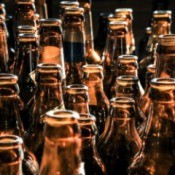 A row of empty beer bottles.