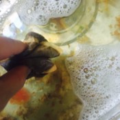 adding used tea bags to sink