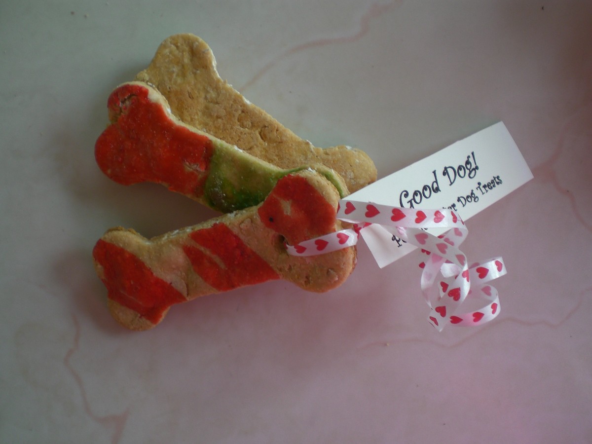 Peanut Butter Dog Cookies as Gifts ThriftyFun
