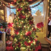 A decorated and lighted Christmas tree inside a living room.