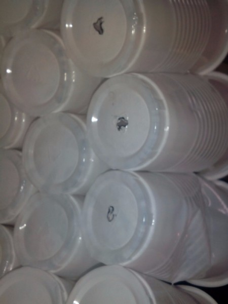 Making a Disposable Cup Christmas Chandelier