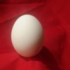 An egg on a red background