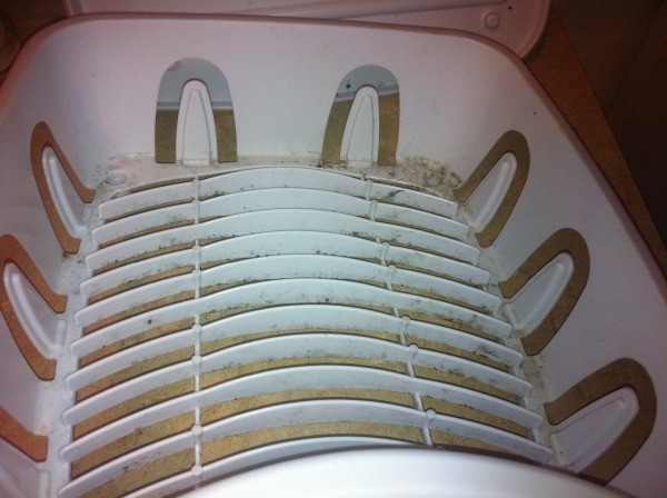 Removing Mold from Dish Drainer