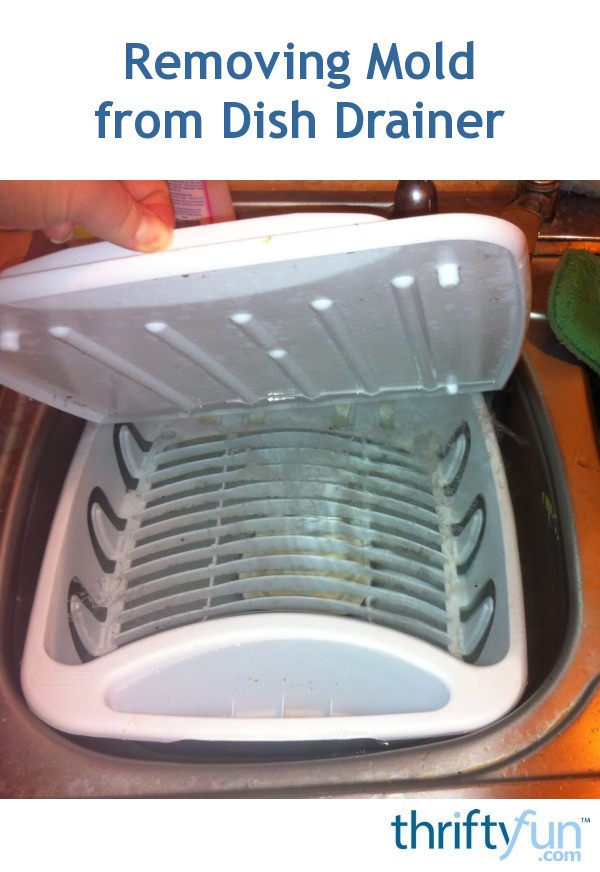 Removing Mold from a Dish Drainer ThriftyFun