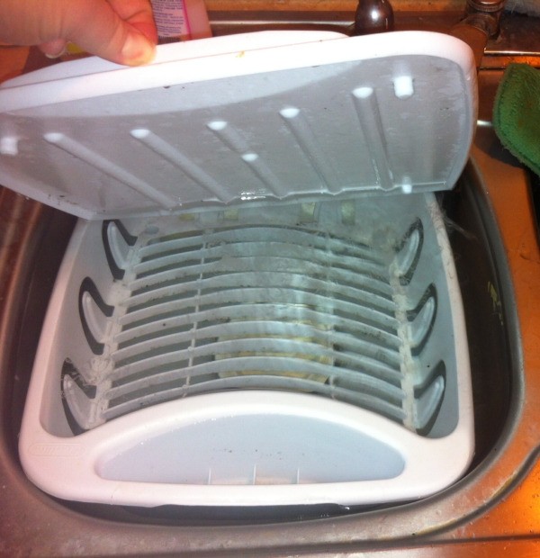 Removing Mold from Dish Drainer