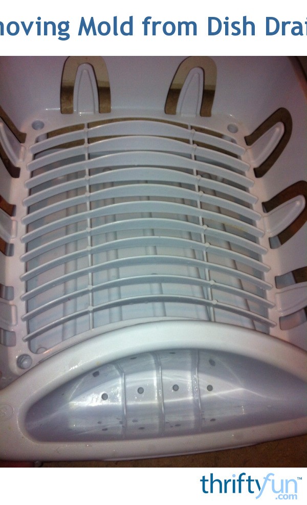 Removing Mold from Dish Drainer ThriftyFun