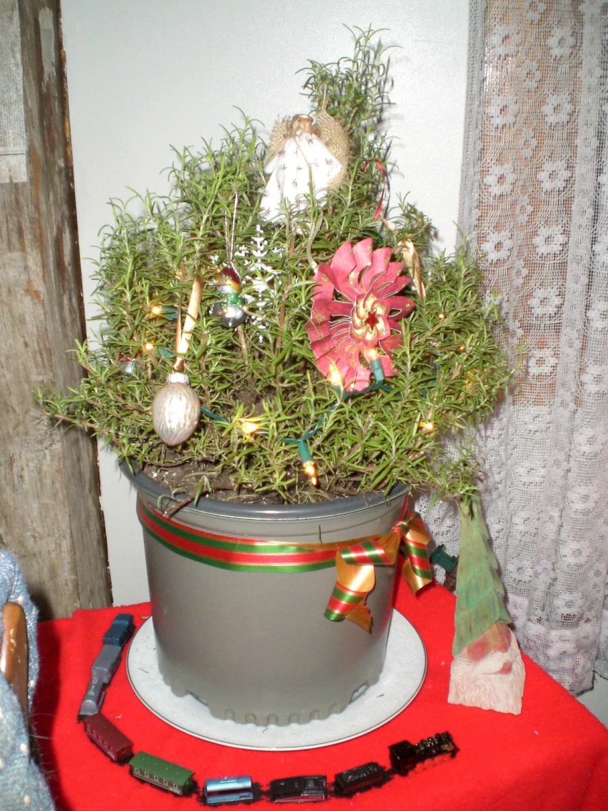 Rosemary Plant As Mini Christmas Tree ThriftyFun