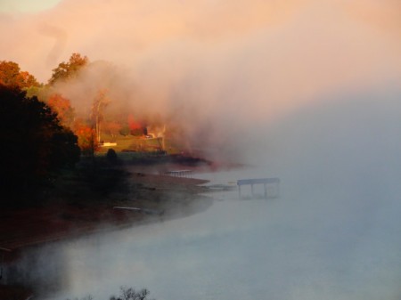 fall colors through fog along lake shore