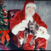 Dante sitting in Santa's lap