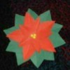 Making Poinsettia Magnets