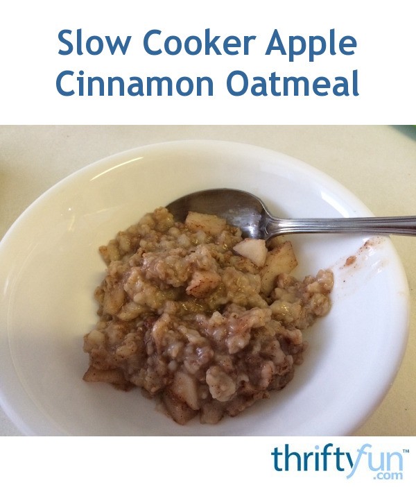 Slow Cooker Apple Cinnamon Oatmeal Recipe ThriftyFun