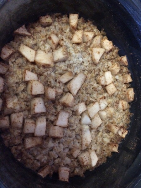 apple & oatmeal in bowl in slow cooker