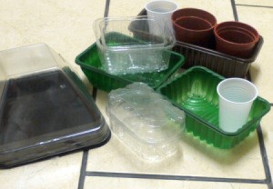 Plastic Food Containers for Seedlings - examples of containers