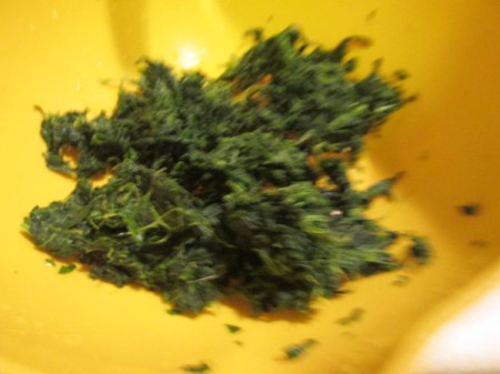 Alfredo Spinach Lasagna - squeezing moisture out of spinach.