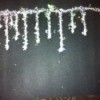 Glitter and Glue Icicles - silvery white glitter with larger colored flecks