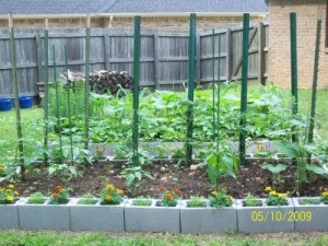 Cinder Block Raised Bed