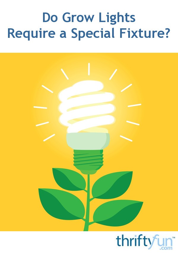 Do Grow Lights Require a Special Fixture? ThriftyFun