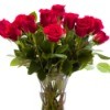 A vase full of red roses.