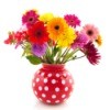 Colorful cut flowers in a vase.