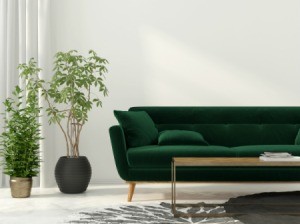 Hunter Green Couch