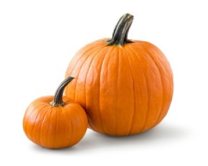 Two pumpkins, one small and one large.