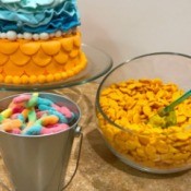 Goldfish Themed Party Snacks - cake, gold fish crackers, and gummy candies