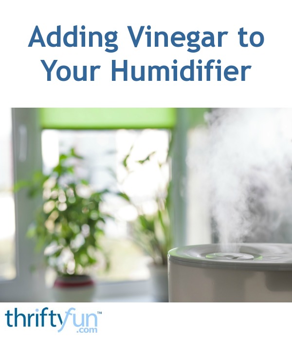 Adding Vinegar to Your Humidifier ThriftyFun