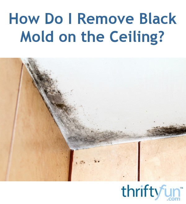 How Do I Remove Black Mold On The Ceiling Thriftyfun