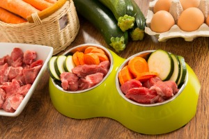 Cut meat and veggies in a dog food bowl.