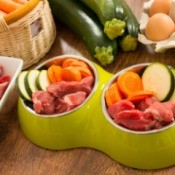 Cut meat and veggies in a dog food bowl.