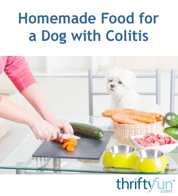 Homemade Food for a Dog with Colitis ThriftyFun