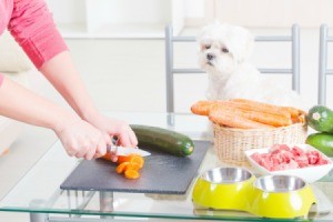 Dog watching a woman cut meat and Veggies.