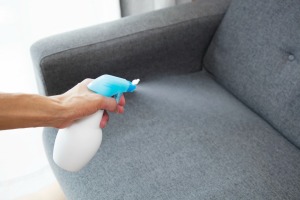 Hand spraying sofa with vinegar.