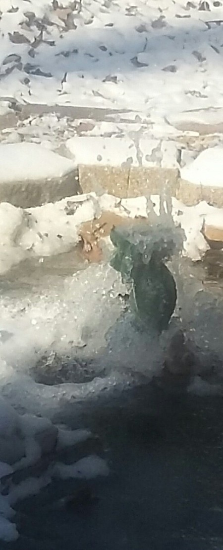 A frozen rock garden pond with a ceramic frog.