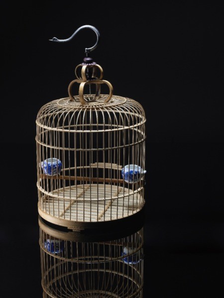 bird cage on dark background