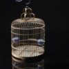 bird cage on dark background