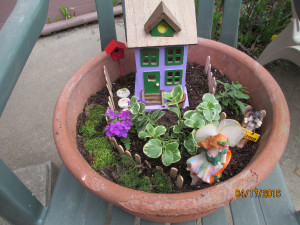 Making a Mini Fairy Garden