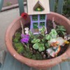 Making a Mini Fairy Garden