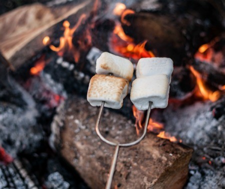 S'mores skewer roasting marshmallows in a campfire.