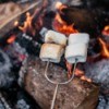 S'mores skewer roasting marshmallows in a campfire.