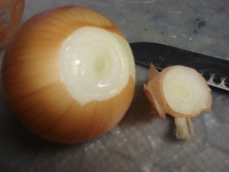 onion with top cut off
